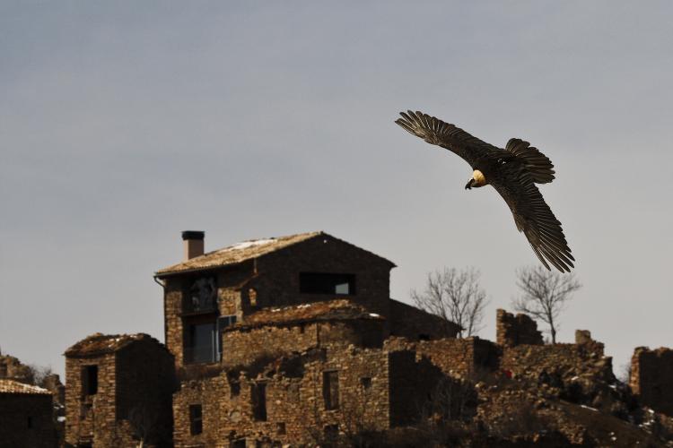 buseu-casa-rural-felip-4