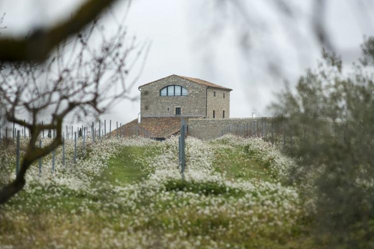 la-torre-del-codina-5