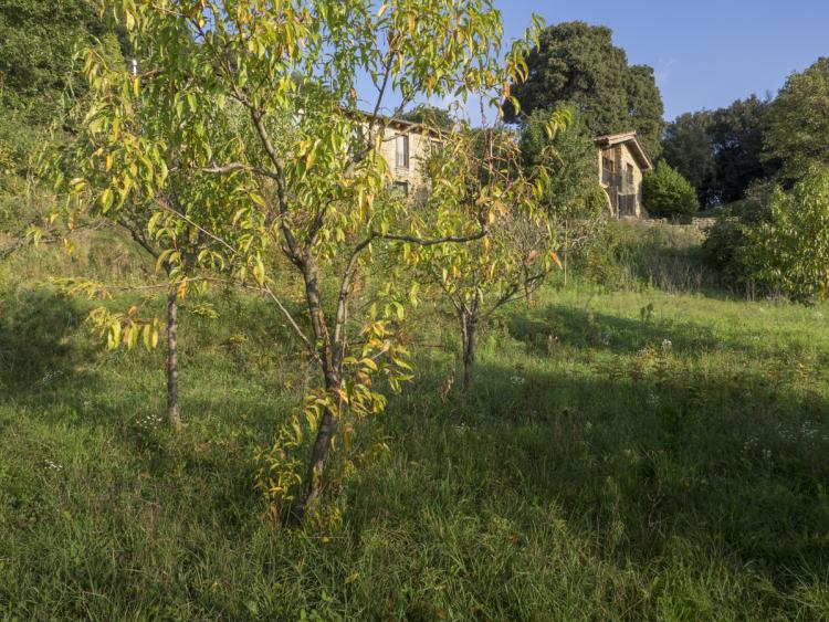 agroturisme-el-vilar-3