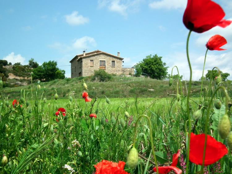 Puigdesala