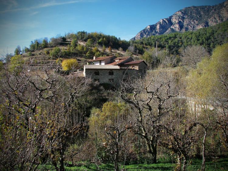 el-paller-de-cal-roig-7