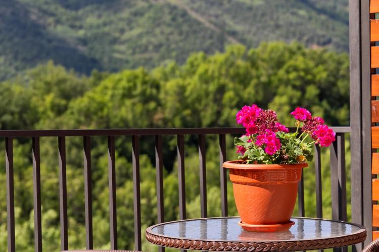 apartamentos-flor-de-neu-casa-espana-4