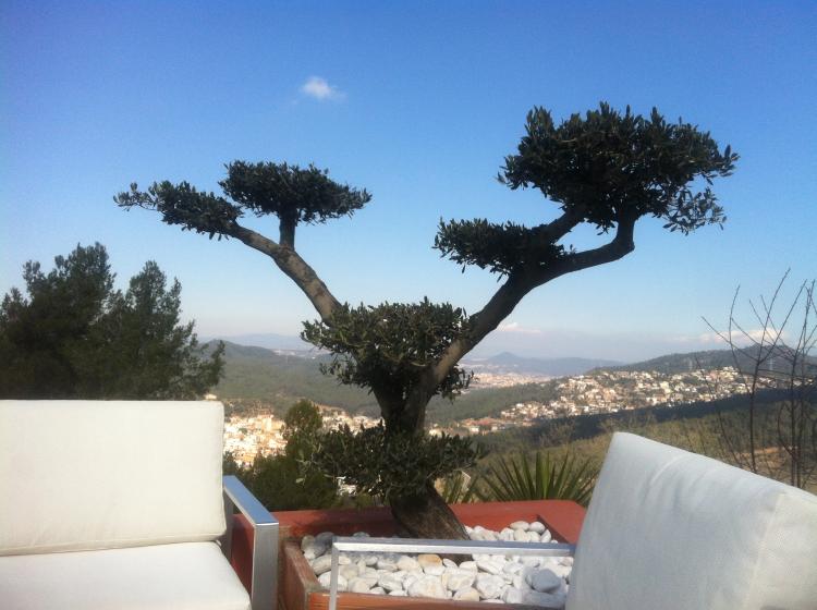 petit-mirador-8