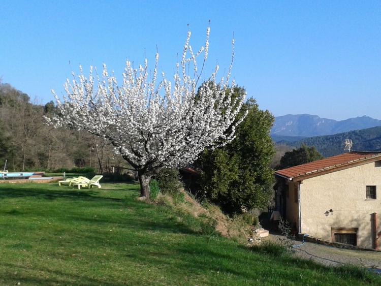 el-casot-6