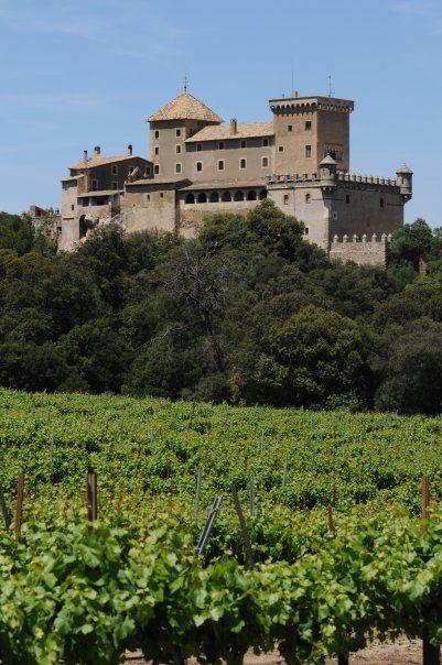castell-de-riudabella-4