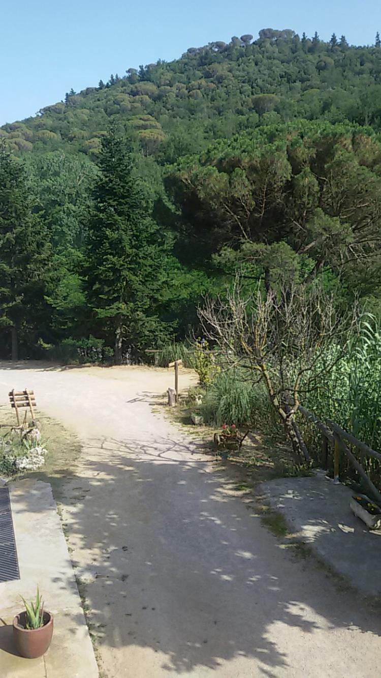 casa-rural-cal-tonedor-2