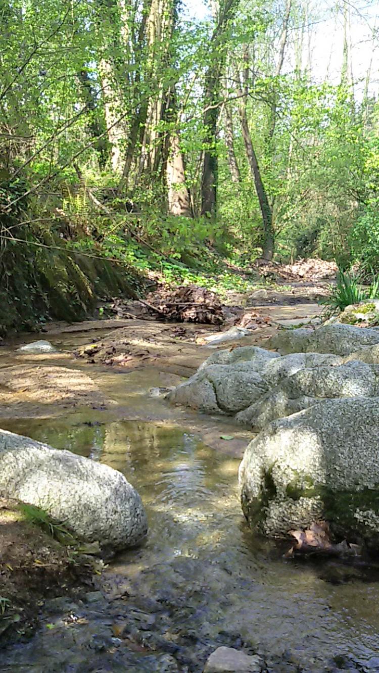 casa-rural-cal-tonedor-9