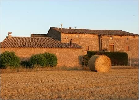 can-guilella-6