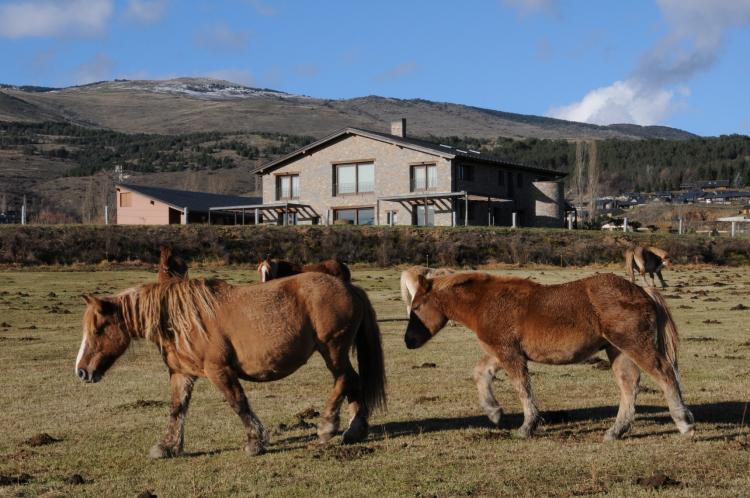 les-feixes-llargues-4