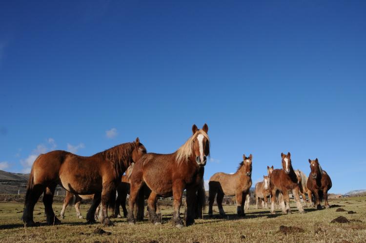 les-feixes-llargues-5