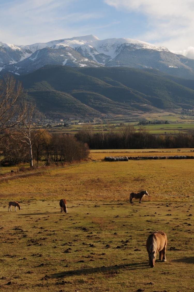 les-feixes-llargues-7