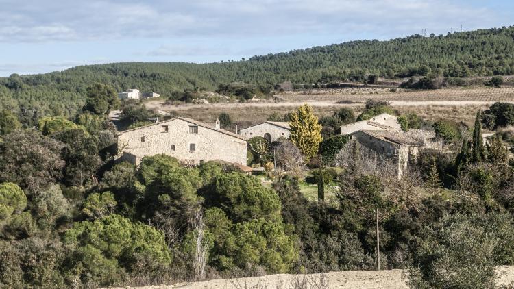 can-vidal-rural-5