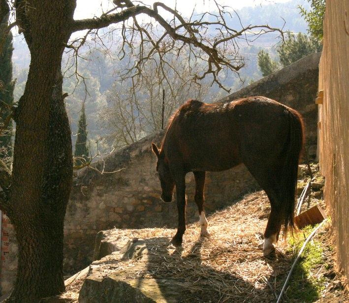 antic-balneari-de-rocallaura-2