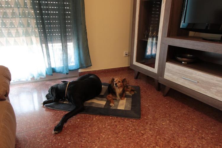 can-clos-bonet-colon-7