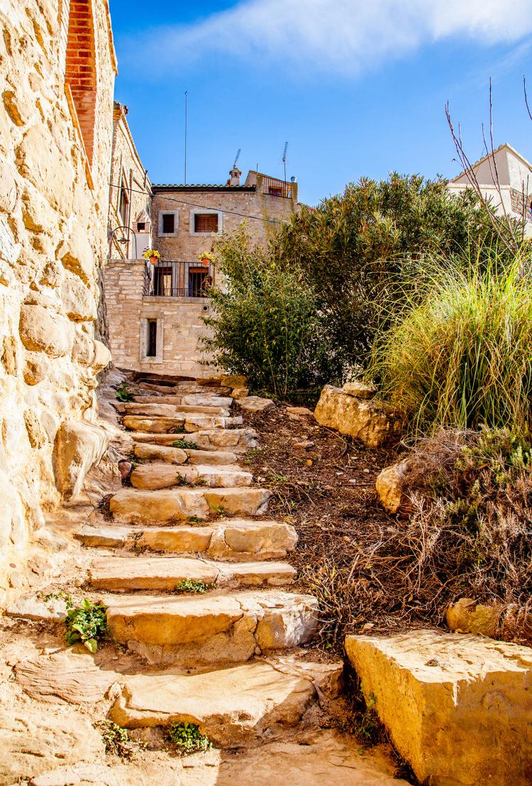 cal-albareda-5