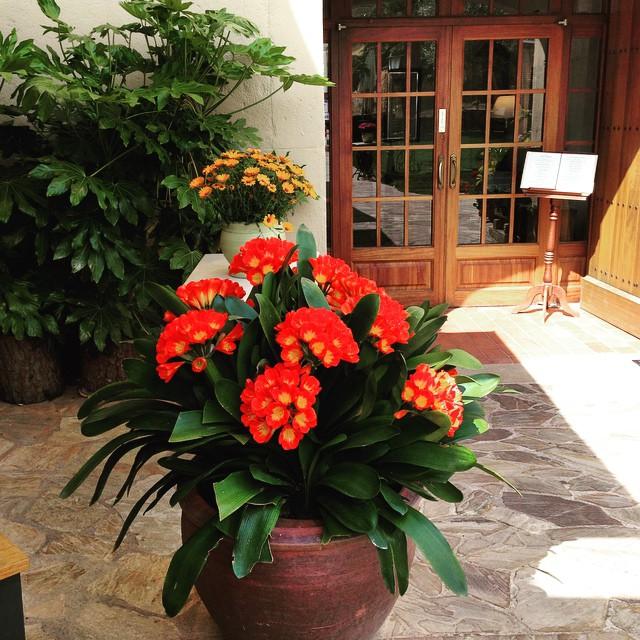 casa-cantonera-3