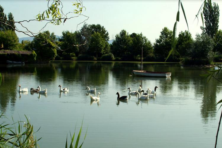 yeguada-senillosa-4