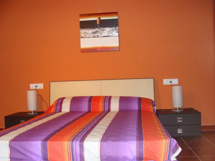 hort-de-la-cinteta-4