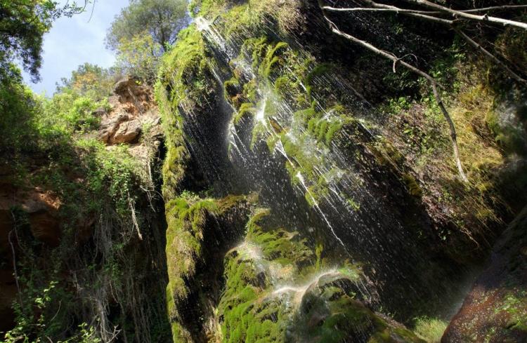 hort-de-la-cinteta-8