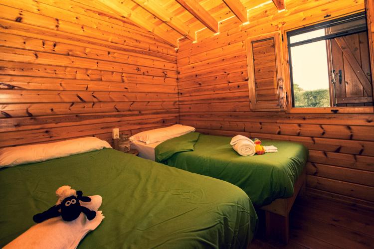 ecocamp-vinyols-2
