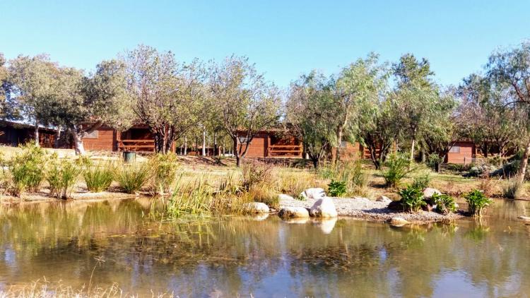 ecocamp-vinyols-3