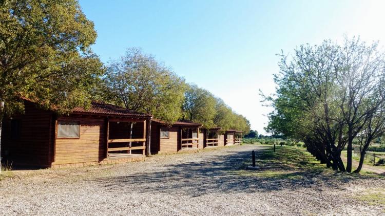 ecocamp-vinyols-8