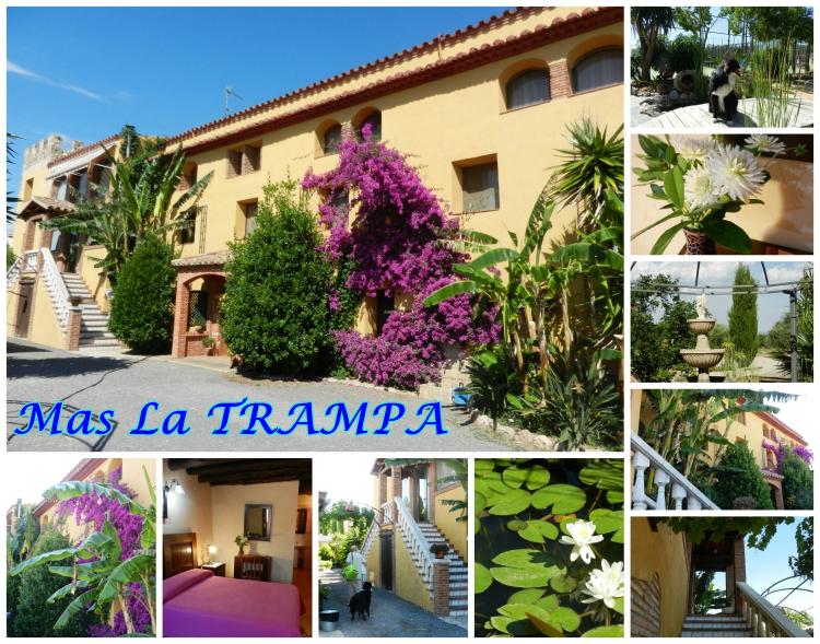 mas-la-trampa-1