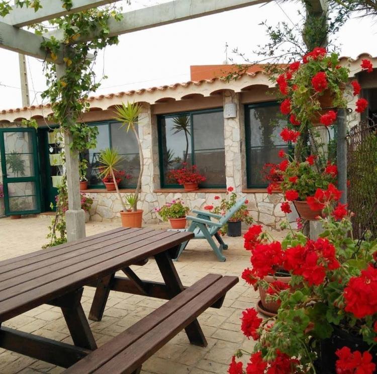 Caseta Morritos