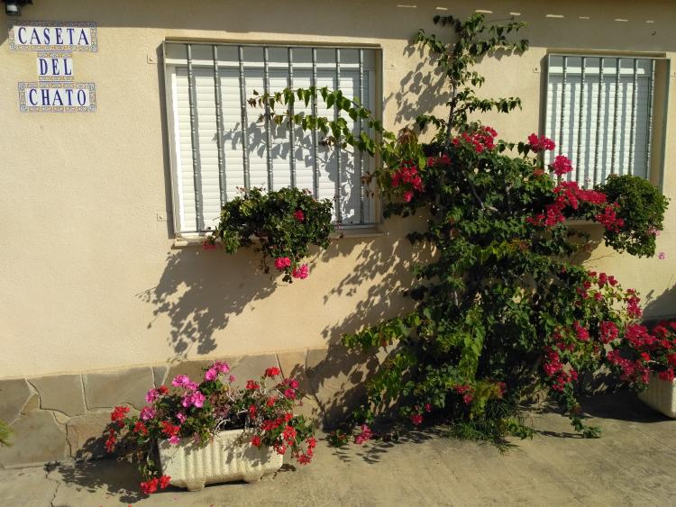 caseta-del-chato-6